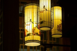 bbr-sunlit 032 medium